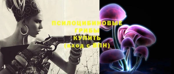 MDMA Карпинск