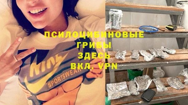 винт Касимов
